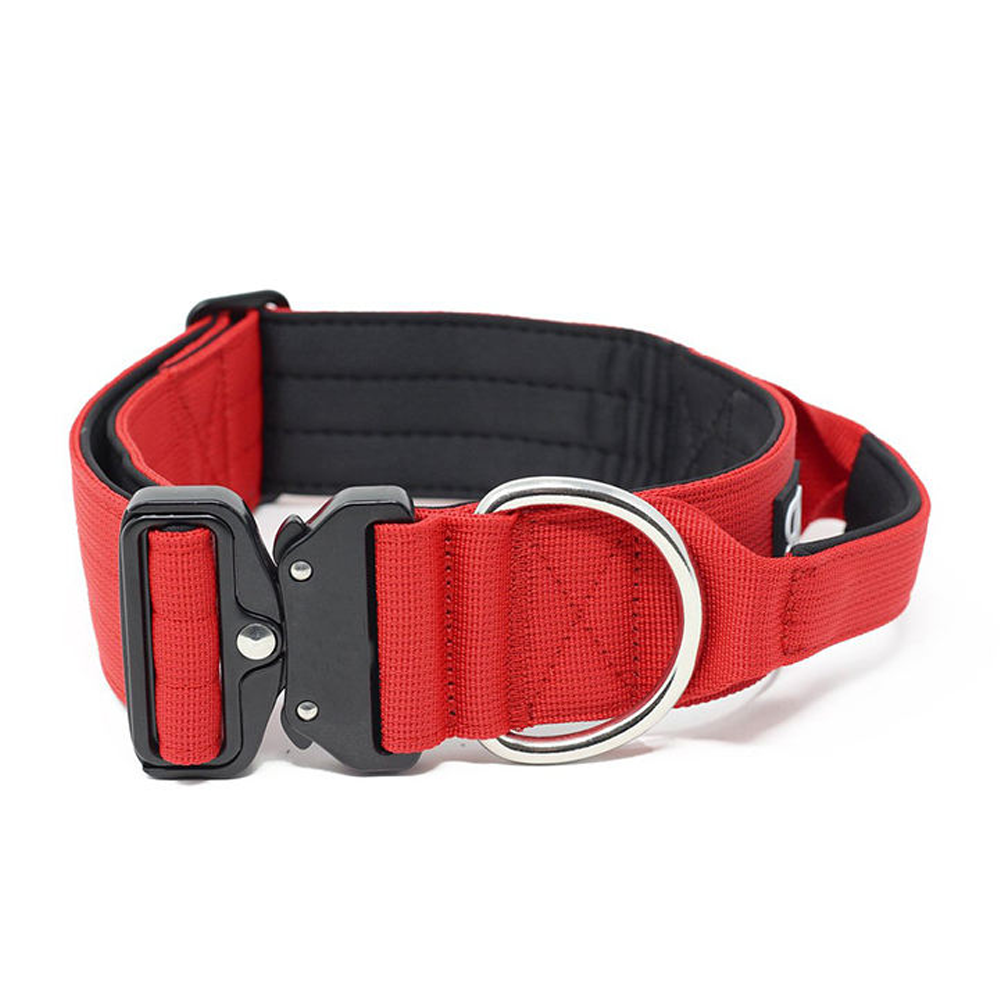 Dog collars