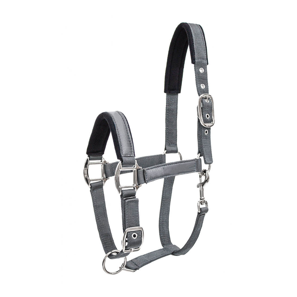 Horse Halter